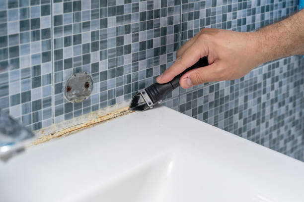 Best Bathroom Mold Remediation in Palm Beach, FL